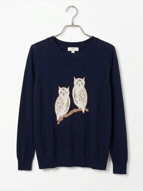 LOFT Outlet Navy Sweater With Owls